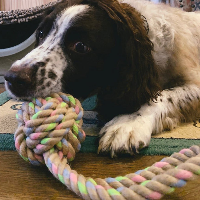 Beco Hemp Rope Toys for Dogs