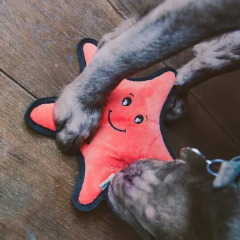 Beco Rough & Tough Star fish