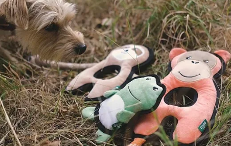 Beco Rough & Tough Frog S