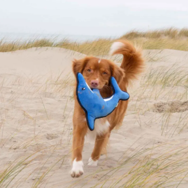 Beco Rough & Tough Toys Dolphin Dog Toy L