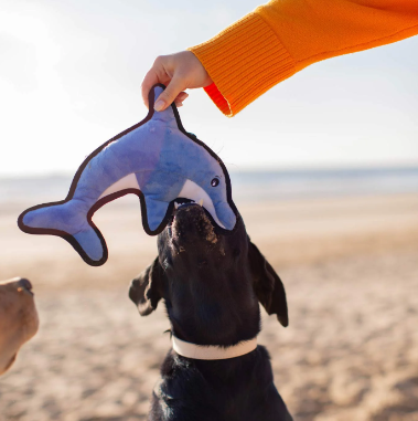 Beco Rough & Tough Toys Dolphin Dog Toy L