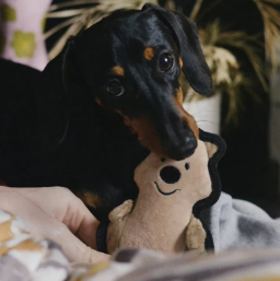 Beco Rough & Tough Quokka Toy S