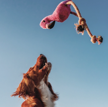 Beco Rough & Tough Flamingo