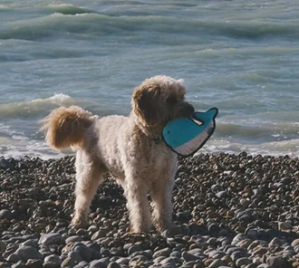 Beco Rough & Tough Whale M