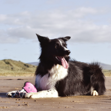 Beco Rough & Tough Octopus M